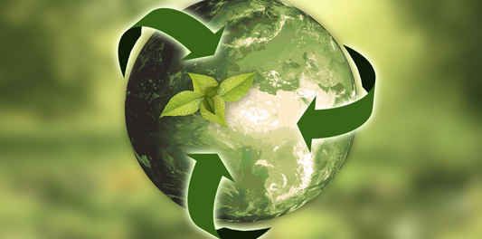Sustainable consumer behaviour